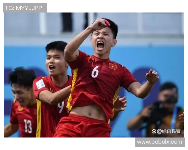 越南国家足球队奋勇争先努力拼搏力争亚洲杯佳绩